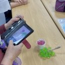 상무금호보건지소 | [출강] 포도비누&amp;멘톨비누 만들기ㅣ서구건강생활지원센터 재가암환자힐링프로그램ㅣ광주 시니어출강