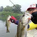 기세곡천 이미지