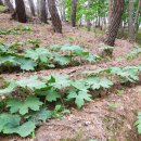 청정농장 이미지