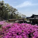 호암 시비공원 이미지