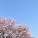 GS25대공원리프트점 이미지