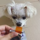 낼름