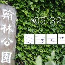 꼬닥