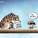 만평 이미지