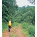 삼의2교 옆 이미지