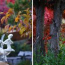 다방1리마을회관 이미지