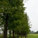 서해안오토 이미지