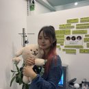 효자코코헤어 | June , 3주부터 마지막까지 : 당신의 여름은 무슨 색인가요.