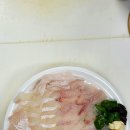 회조아