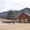 법주사 - 1597 | 법주사
