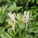 지난 주말에 다녀온곳 이미지