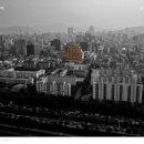 주식회사비에스엔빌사남부동산중개법인 이미지