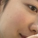 생기365 - 서구 운천로 213 | 생일 선물_ 피치 핑크 봄웜 톤 살구빛 디올 루즈 블러쉬 365 파나레아 발색 후기, 데일리 블러셔 추천