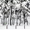 사랑이야기 이미지