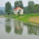 금산 자연 오토캠핑장 이미지