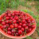 윤지농장 이미지