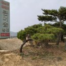 진소농장 네이버블로그