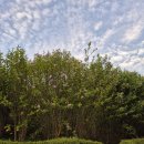 지정타 공인중개사사무소 이미지