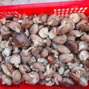 장흥농장 이미지