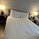 (주)호텔롯데 롯데호텔제주 | [제주 1박2일] 롯데호텔 제주 숙박 솔직 후기 (부모님 동반, 휠체어·수영장)