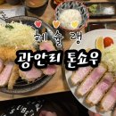 혜슐랭 | 광안리 톤쇼우 모듬카츠 특로스카츠 혜슐랭