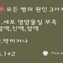 오장육부 이미지