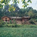 양양김택준가옥 이미지