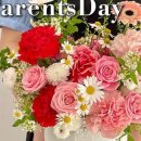 달플로르 이미지