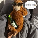 선지정food | 하루만에 개성넘치는 지구촌 사람들 15명 만나기
