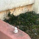 UR(경주시)-[포석로]-하-4 | ✨ 손주의 대구·경주 1박 2일 여행 후기 &amp; 루트 ✨