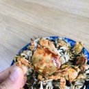 로뎀 해루질 펜션 이미지