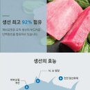 포캣 이미지
