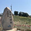 송정동-22 | [부산 2박3일] DAY.2 : 영동밀면&amp;돼지국밥 / 오륙도 해맞이공원 수선화 / 광안리 / 해운대 블루라인파크...