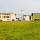 천대국치길 이미지