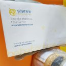 베베토토