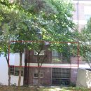 야탑로231번길 이미지