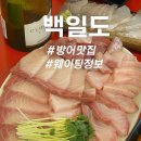 화수로70번길 10-12 | 중곡동 횟집 백일도 방어회 후기 (웨이팅, 맛, 콜키지)
