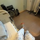 절골 | 중족절골 골절 수술 후기｜회복기간·비용·보험·재활 전과정 정리