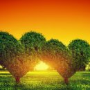 마장동 고운타워오피스텔 앞 이미지