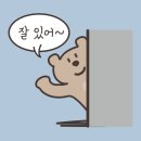 메이플동물병원 이미지