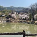 버드오토캠핑장 이미지