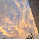 동루골막국수 이미지