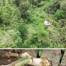 김승수 농장 이미지