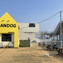 단독 dandog 이미지