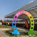 홍성군승마장 이미지