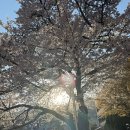 황룡강보물섬가든 | 난 널 버리지 않아 강남여쨔!