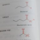 p.10 이미지