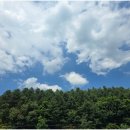 동두천 충효태권도장 이미지