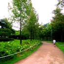 상동호수공원 이미지