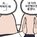 (주)슈엘로